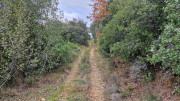 Laudun_23_12-34