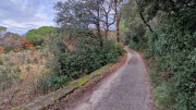 Laudun_23_12-39