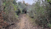 Laudun_23_12-42