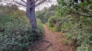 Laudun_23_12-44