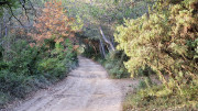 Laudun_23_12-8