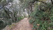 Laudun_23_12-86