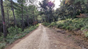 Laudun_23_12-90