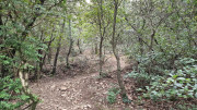 Laudun_23_12-97