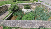 Argilliers_23_06-100