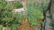 Argilliers_23_06-101