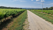 Argilliers_23_06-22