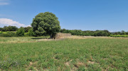 Argilliers_23_06-25