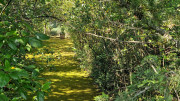 Argilliers_23_06-36