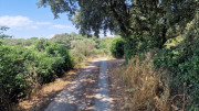 Argilliers_23_06-48