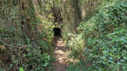Argilliers_23_06-51