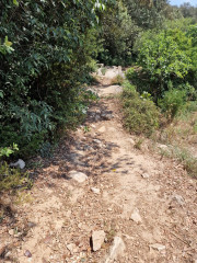 Argilliers_23_06-56