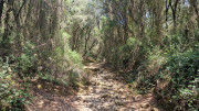 Argilliers_23_06-62