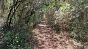 Argilliers_23_06-66