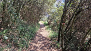 Argilliers_23_06-68
