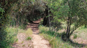 Argilliers_23_06-69