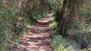 Argilliers_23_06-70