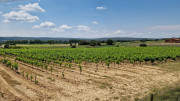 Argilliers_23_06-71