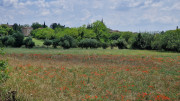 Argilliers_23_06-74