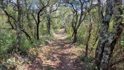 Argilliers_23_06-75