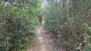 Argilliers_23_06-77