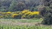 Argilliers_23_06-79
