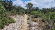 Argilliers_23_06-81