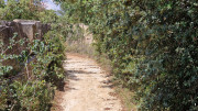 Argilliers_23_06-89