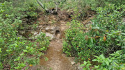 Argilliers_23_06-93