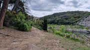 Bonnet_24_04-16