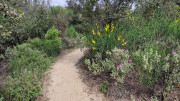 Bonnet_24_04-27