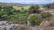 Bonnet_24_04-31