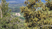 Bonnet_24_04-6