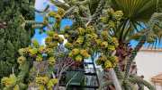 Bouquet_23_03-143