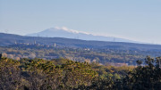 Collias_23_12-13