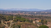 Collias_23_12-15