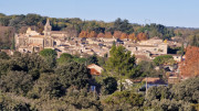 Collias_23_12-16
