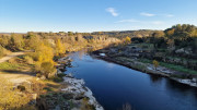 Collias_23_12-2