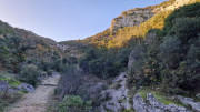 Collias_23_12-21