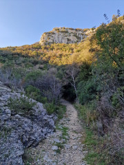 Collias_23_12-22