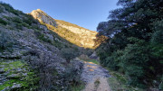 Collias_23_12-23