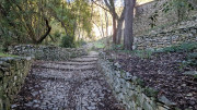 Collias_23_12-26
