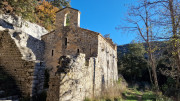 Collias_23_12-28