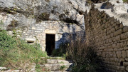 Collias_23_12-31