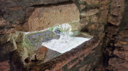 Collias_23_12-32