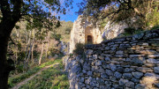 Collias_23_12-34