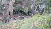 Collias_23_12-35