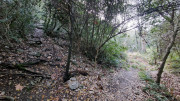 Collias_23_12-37