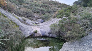 Collias_23_12-38