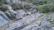 Collias_23_12-39